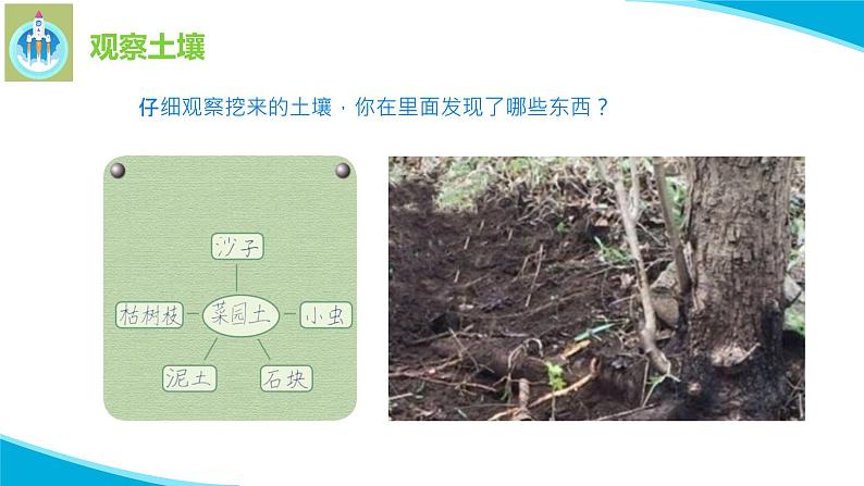 苏教版科学三年级上册4土壤的成分PPT课件05