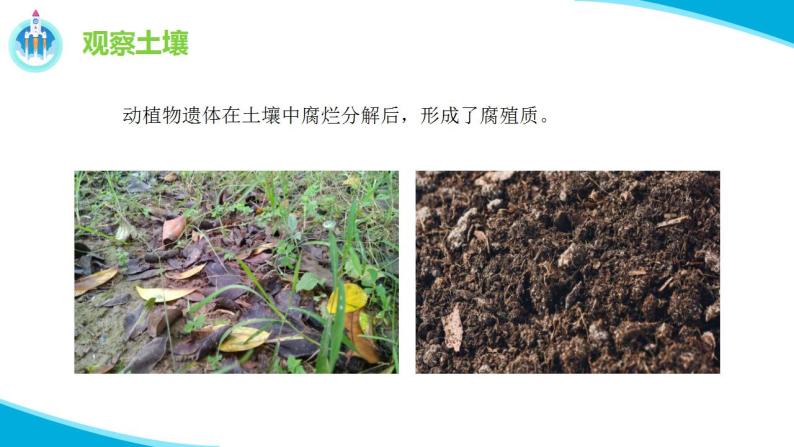 苏教版科学三年级上册6肥沃的土壤PPT课件06