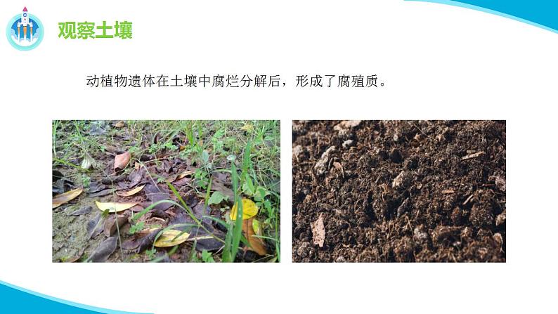 苏教版科学三年级上册6肥沃的土壤PPT课件06