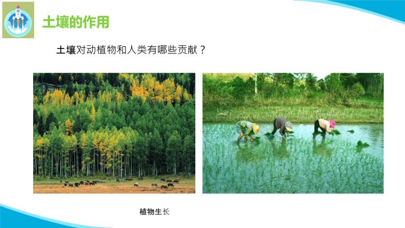 苏教版科学三年级上册7保护土壤PPT课件02