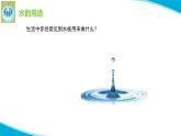 苏教版科学三年级上册15珍惜水资源PPT课件