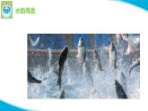 苏教版科学三年级上册15珍惜水资源PPT课件