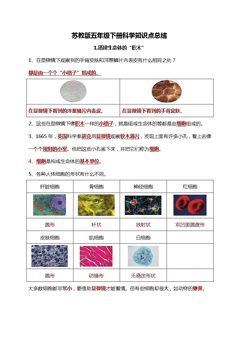 苏教版五年级下册科学知识点总结01