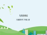 大象版科学三年级上册2.2《鸟类的特征》课件