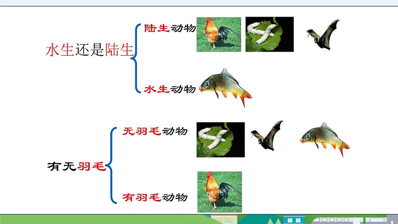 大象版科学三年级上册2.3《动物的分类》课件07