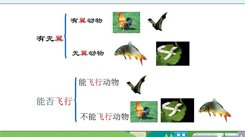 大象版科学三年级上册2.3《动物的分类》课件08