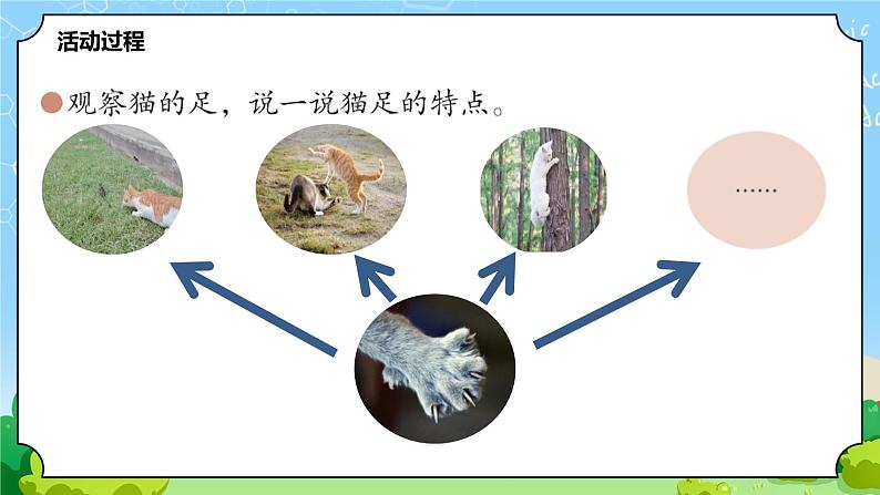 1 动物的四肢 教学课件第3页