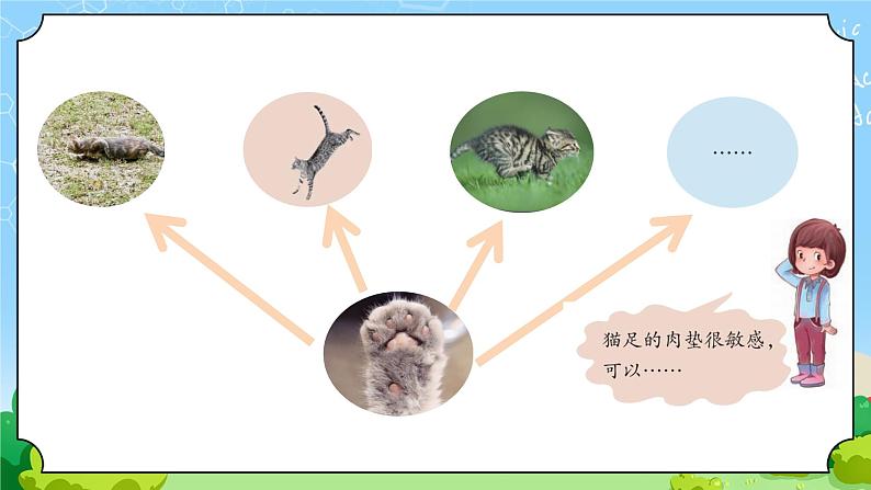 1 动物的四肢 教学课件第4页