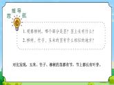 7 植物的莖 教學(xué)課件