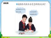 8 叶的蒸腾作用 教学课件