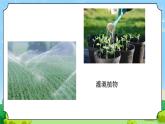 20 淡水资源 教学课件
