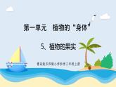 1.5《植物的果实》教学课件