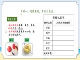 1.5《植物的果实》教学课件