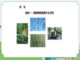 新苏教版科学五年级上册  4.14《露和霜》 课件+教案