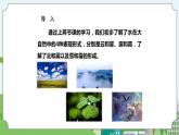 新苏教版科学五年级上册  4.15《雨和雪》 课件+教案