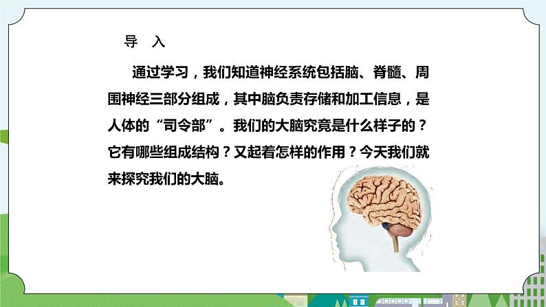 新苏教版科学五年级上册19我们的大脑 课件第2页