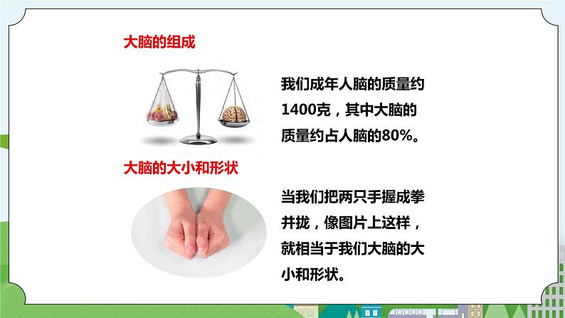 新苏教版科学五年级上册19我们的大脑 课件第4页