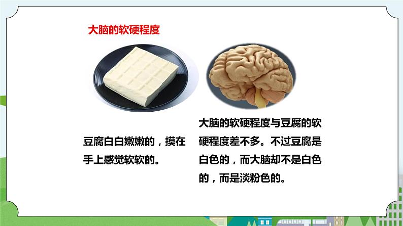 新苏教版科学五年级上册19我们的大脑 课件第6页