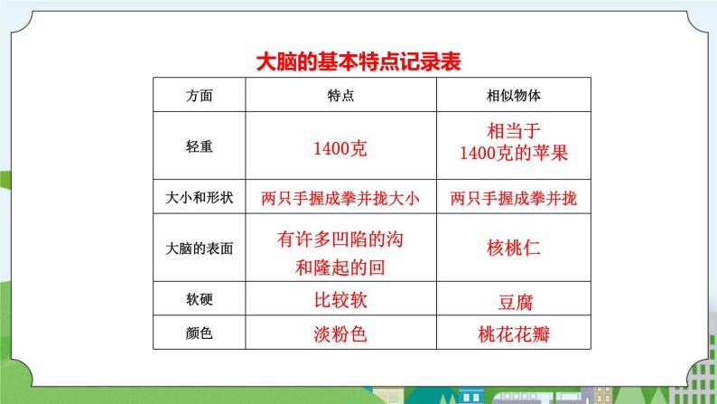 新苏教版科学五年级上册 5.19《我们的大脑》 课件+教案07