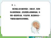 新苏教版科学五年级上册 5.20《大脑的开发与利用》 课件+教案