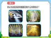 苏教版科学五年级上册2《光的传播》课件+教案+练习