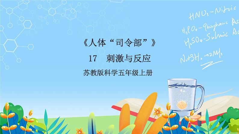 苏教版科学五年级上册17《刺激与反应》课件第1页