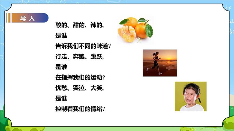 苏教版科学五年级上册17《刺激与反应》课件第2页