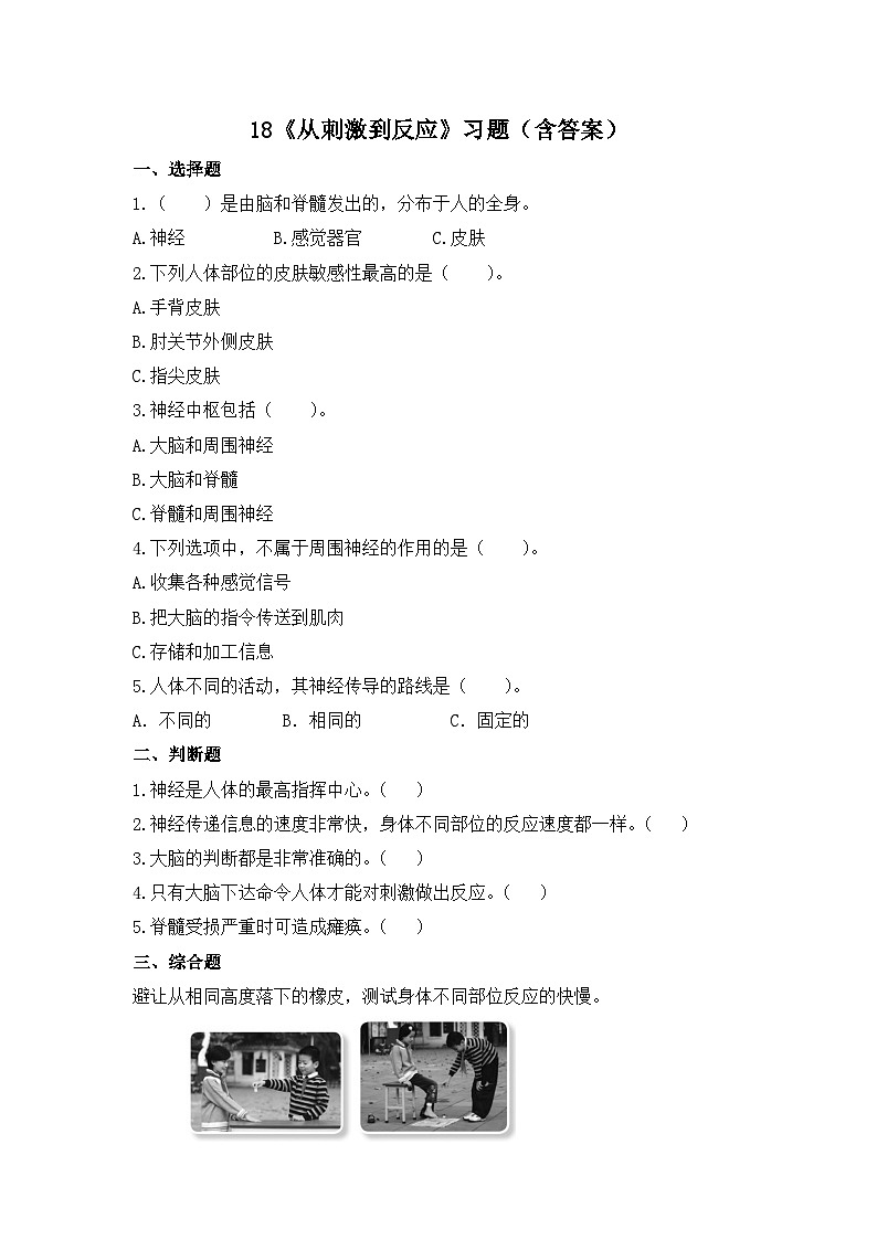 苏教版科学五年级上册18《从刺激到反应》教案+练习01