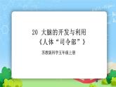 苏教版科学五年级上册20《大脑的开发与利用》课件