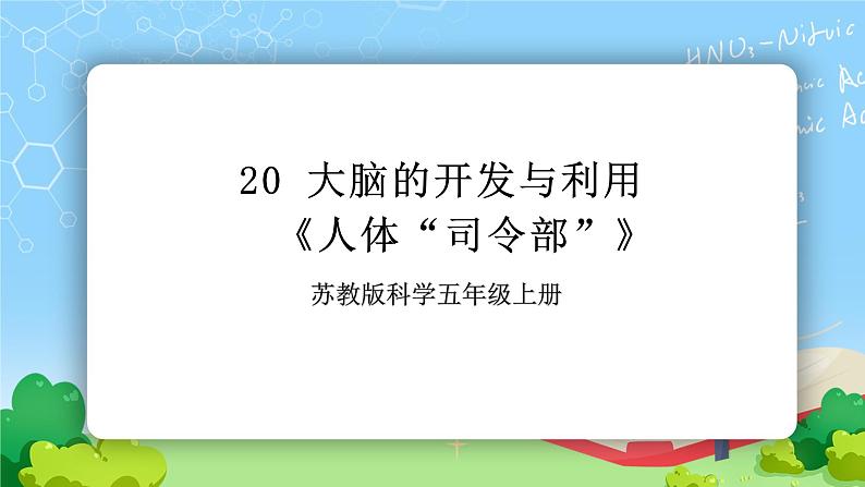 苏教版科学五年级上册20《大脑的开发与利用》课件01