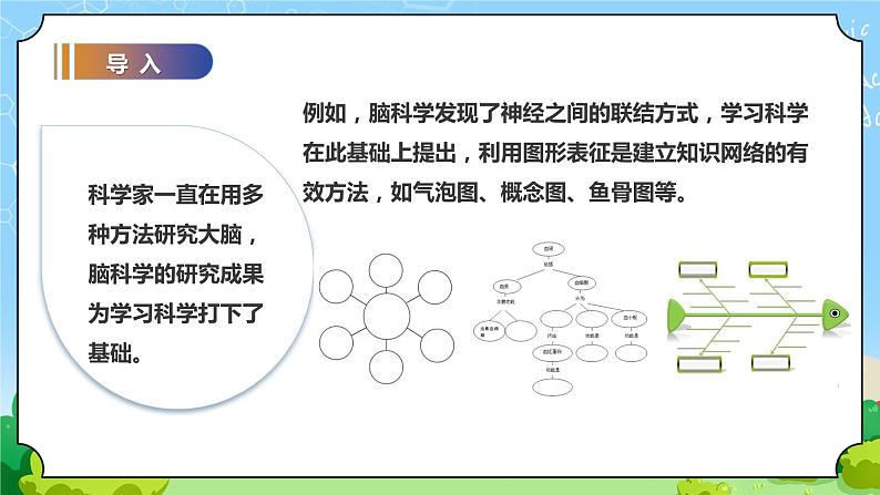 苏教版科学五年级上册20《大脑的开发与利用》课件02