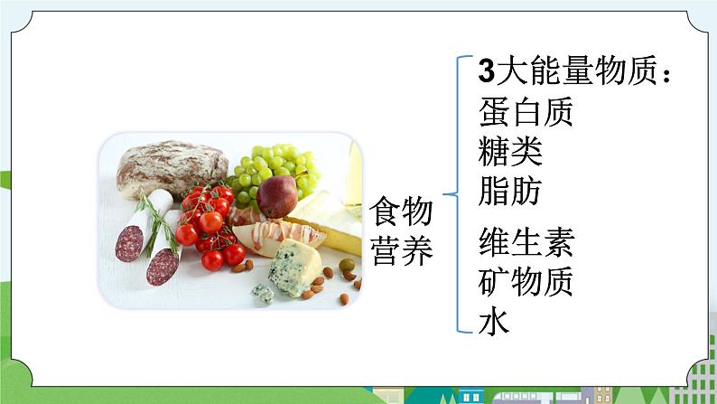 湘科版科学四上 2.2饮食与营养 课件+教案04