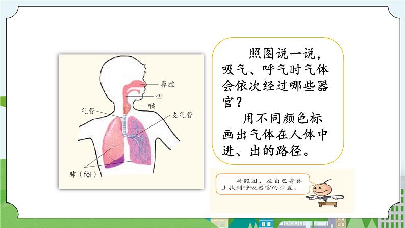 湘科版科学四上 2.3我们的呼吸  课件+教案（2课时）05