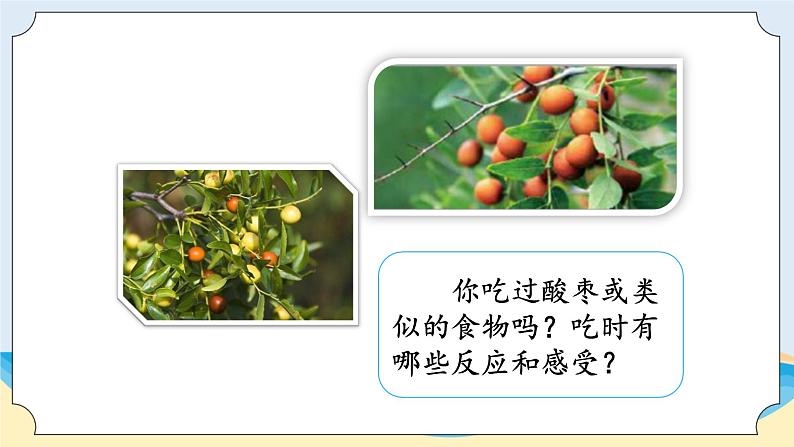 湘科版科学五年级上册1.1人体对刺激的反应 课件+教案02