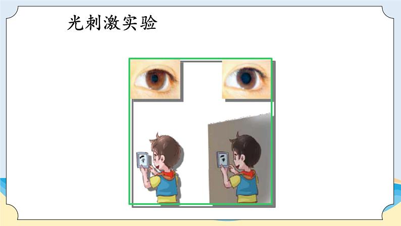 湘科版科学五年级上册1.1人体对刺激的反应 课件+教案04