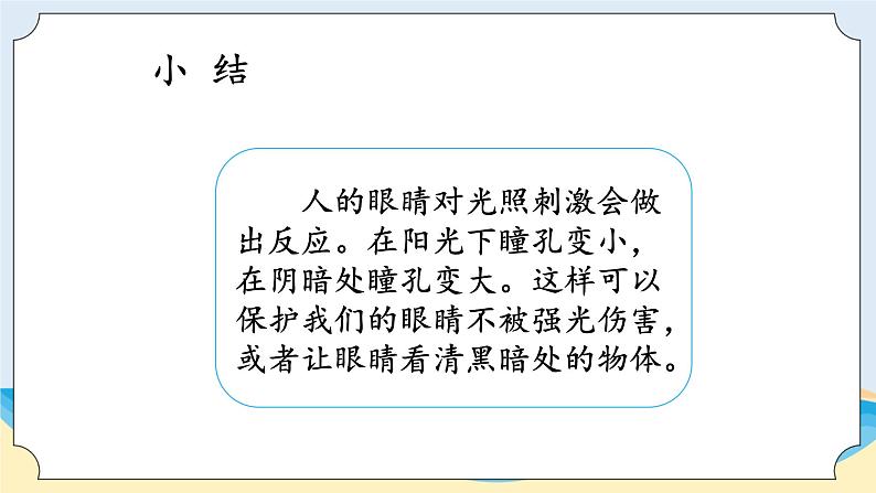 湘科版科学五年级上册1.1人体对刺激的反应 课件+教案07