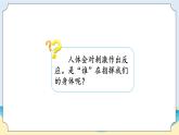湘科版科学五年级上册1.2人体指挥部—脑 课件+教案