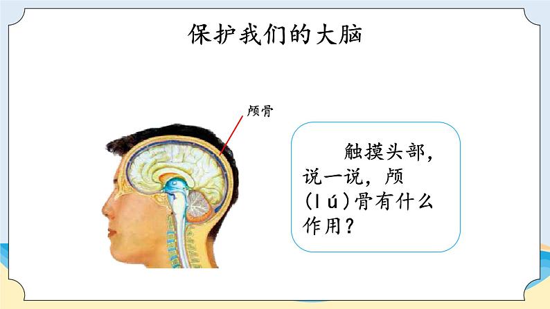 湘科版科学五年级上册1.3保护我们的脑 课件+教案04