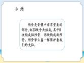 湘科版科学五年级上册1.3保护我们的脑 课件+教案
