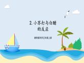 湘科版科学五年级上册4.2小苏打与白醋的反应 课件+教案