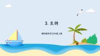湘科版 (2017)五年级上册3 生锈完美版ppt课件