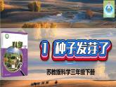 蘇教版科學(xué)三年級下冊1種子發(fā)芽了PPT課件