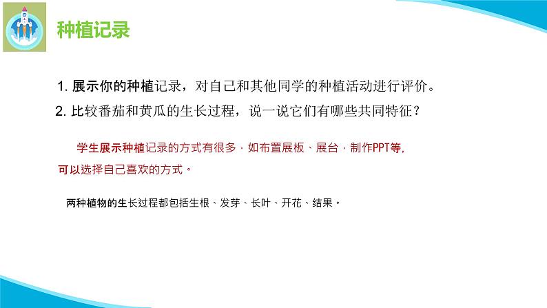 苏教版科学三年级下册4植物结果了PPT课件06