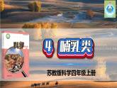 最新蘇教版科學(xué)四年級上冊4哺乳類PPT課件