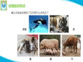 最新蘇教版科學(xué)四年級上冊4哺乳類PPT課件