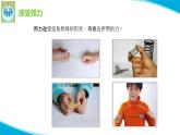 最新蘇教版科學(xué)四年級上冊9彈力PPT課件