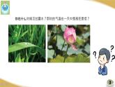 蘇教版科學(xué)四年級(jí)下冊(cè)4水遇冷以后PPT課件