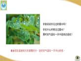 蘇教版科學(xué)四年級(jí)下冊(cè)4水遇冷以后PPT課件
