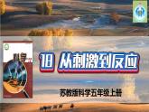 新版蘇教版科學-18從刺激到反應-五年級上冊PPT課件