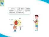 新版蘇教版科學-18從刺激到反應-五年級上冊PPT課件